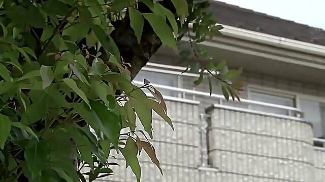 [RESTORED ]JUR 247 Rei Kimura A Married Woman Investigator Who Fell Into A Get Pregnant