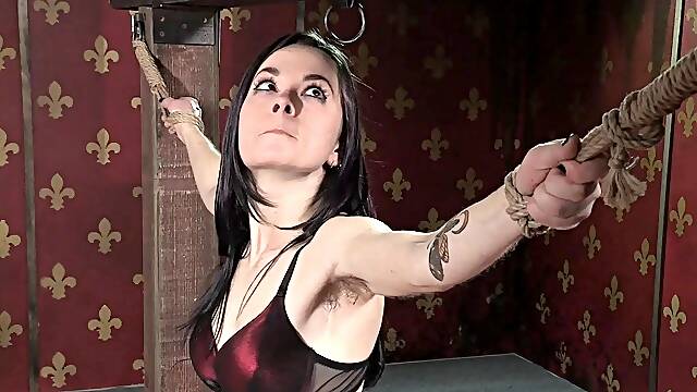 Close up BJ cumshot