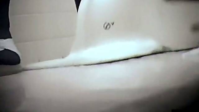 Exciting toilet spy cam shots of amateur bushy slits