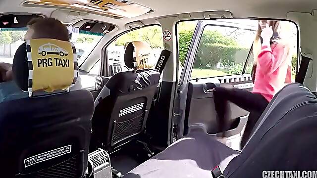 Fake taxi fun