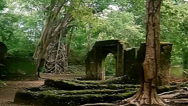 Tarzan (Upscaled) - Rosa Caracciolo