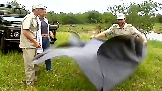 Kruger Park 1996 full video