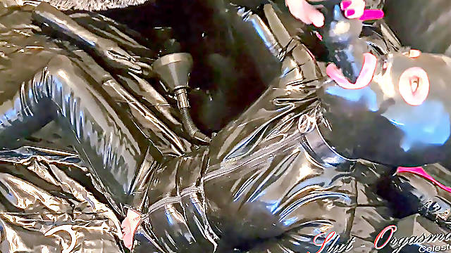 Slave Slut-Orgasma Celeste spandex sloppy deep jaws training a canine dildo
