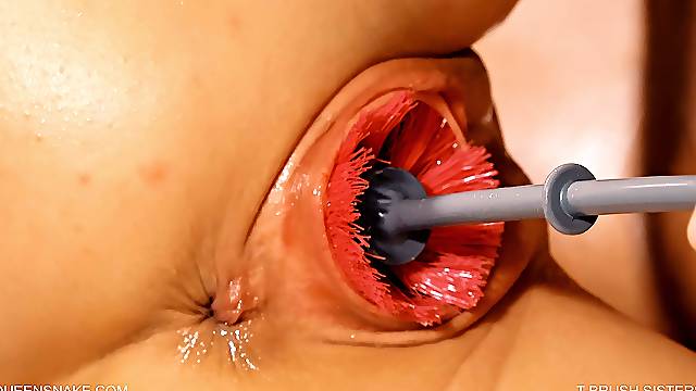 Toilet Brush Sisters - Queensnake.com - Queensect.com