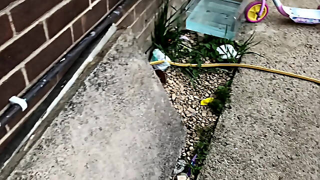 Through the Windows and Got Lucky