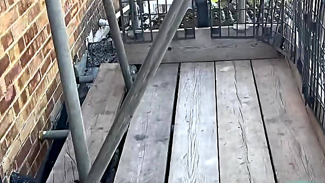 Young Trainee Gets to Watch a Window Peep Show
