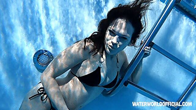 No Diving 2024 HD