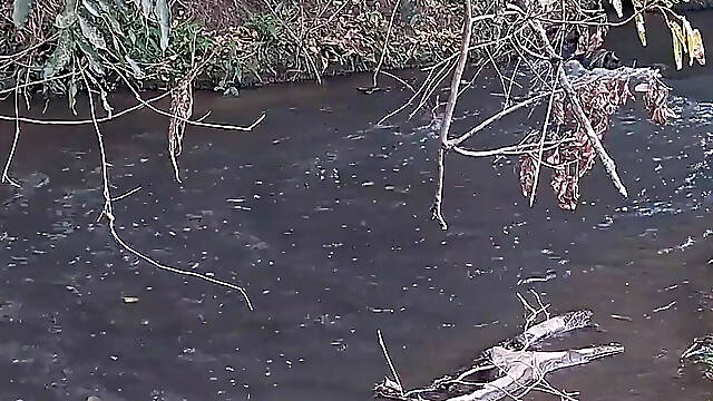 Strangers Are Caught Having Sex at the Waterfall.